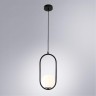 Подвесной светильник Arte Lamp MATISSE A7745SP-1BK
