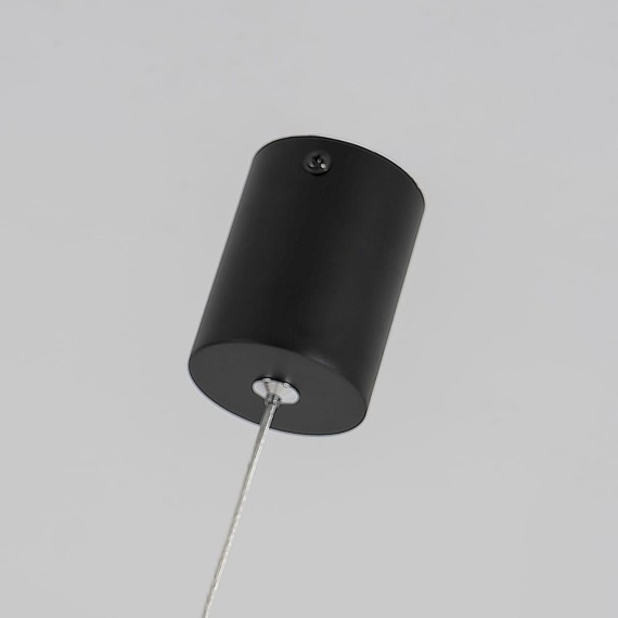 Подвесной светильник Pendenti 2006-1P