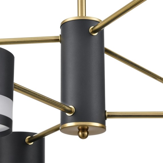 Люстра потолочная GX53 Lumion LANIKA 8240/6C