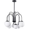 Люстра на штанге Arte Lamp MEBSUTA A1675LM-8BK