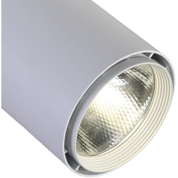 Спот Projector 1773-1U