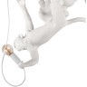10314 White Подвесной светильник LOFT IT Monkey