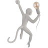 10314W/A Настенный светильник LOFT IT Monkey