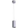 Точечный подвесной светильник Arte Lamp CANOPUS A1516SP-1GY