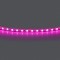 Лента цветного свечения 24V, розовый Lightstar Lightstar 420512