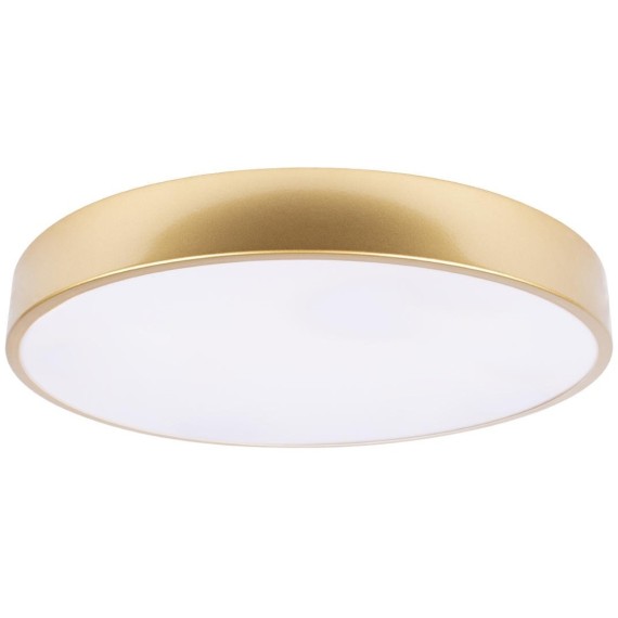 10228/A Потолочный светильник LOFT IT Flims