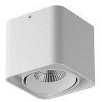 Накладной потолочный светильник Lightstar 52116 Monocco IP65 светодиодный LED 100W