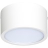 Уличный потолочный светильник Lightstar 213916 Zolla IP44 светодиодный LED 10W