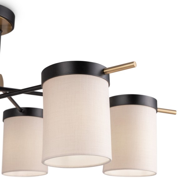 Потолочный светильник Freya FR5377CL-06B