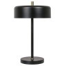 Декоративная настольная лампа Arte Lamp SKAT A7052LT-2BK