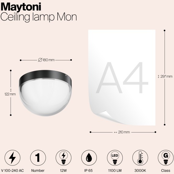 Потолочный светильник Outdoor O438CL-L12GF3K
