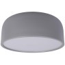 10201/350 Grey Потолочный светильник LOFT IT Axel