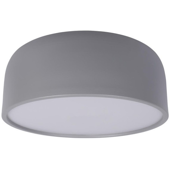 10201/350 Grey Потолочный светильник LOFT IT Axel