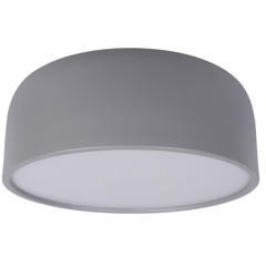 10201/350 Grey Потолочный светильник LOFT IT Axel