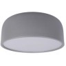 10201/350 Grey Потолочный светильник LOFT IT Axel