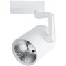 Однофазный двужильный светодиодный трековый светильник Arte Lamp A2330PL-1WH TRACCIA 4000К 2400Лм CRI80+ 24° 30Вт