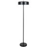 Торшер Arte Lamp SKAT A7052PN-2BK