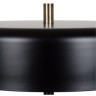 Торшер Arte Lamp SKAT A7052PN-2BK
