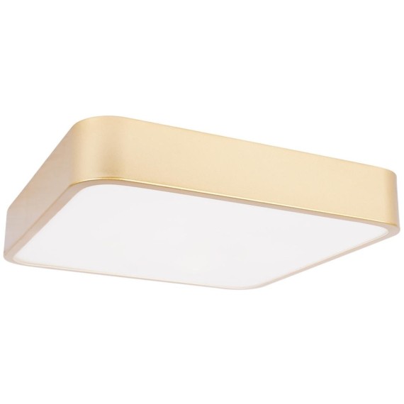 10228/C Потолочный светильник LOFT IT Flims