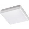 Уличный потолочный светильник Novotech 358687 PANDORA IP54 светодиодный LED 15W