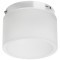 Насадка торцевая с рассеивателем на светильник Rullo Lightstar 202431