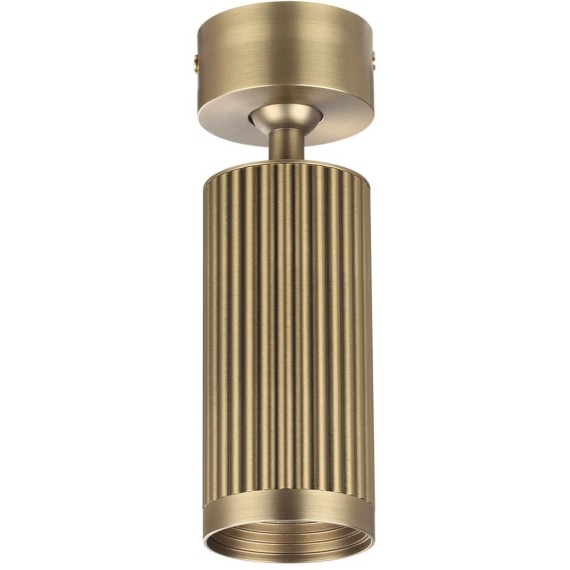 Потолочный светильник поворотный на 360° Odeon Light MANCHESTER 7013/1C