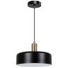 Подвесной светильник Arte Lamp SKAT A7052SP-1BK