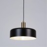 Подвесной светильник Arte Lamp SKAT A7052SP-1BK