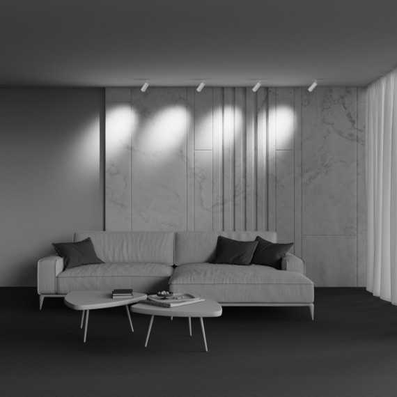 Трековый светильник Technical TR212-4-12WTW-DD2-Z-W