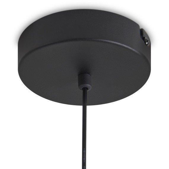 Подвесной светильник Freya FR6141PL-L14B