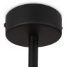 Потолочный светильник Freya FR5363CL-04B