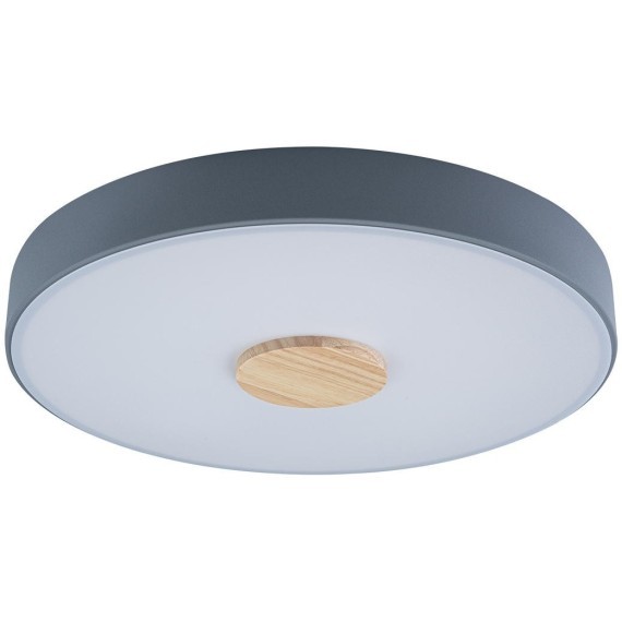 10003/24 Grey Потолочный светильник LOFT IT Axel