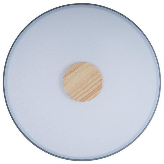 10003/24 Grey Потолочный светильник LOFT IT Axel