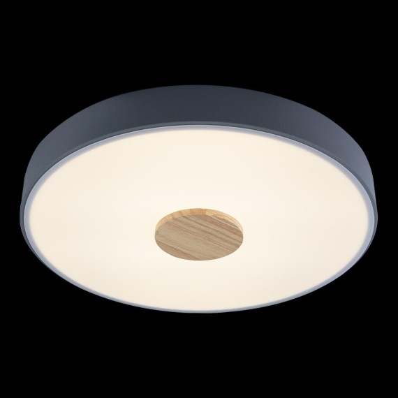 10003/24 Grey Потолочный светильник LOFT IT Axel