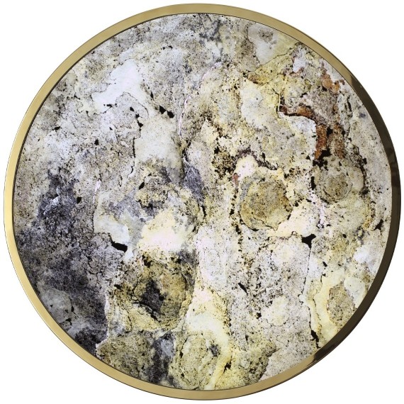 Настенно-потолочный светильник ODEON LIGHT BERGI 5079/50L