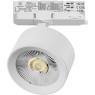 Светильник для трековой системы Quattro LED 15W с адаптером Alta Pro Lightstar A5546QT