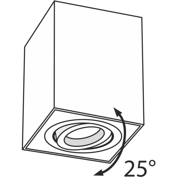Потолочный светильник Technical C017CL-01S