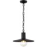 Уличный подвесной светильник Odeon Light 4833/1 FURCADIA IP44 под лампу 1xE27 1*40W
