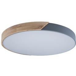 10004/36 Grey Потолочный светильник LOFT IT Axel