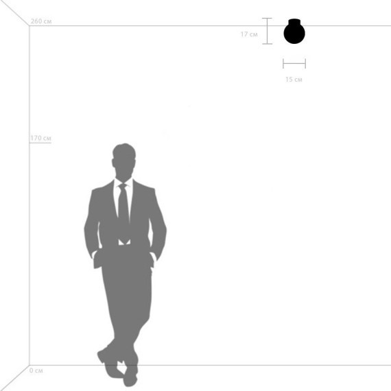 Люстра потолочная Lightstar 812017 Globo под лампу 1xE14 40W