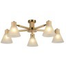 Потолочная люстра Arte lamp MELEPH A4096PL-5BR