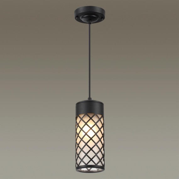 Уличный подвесной светильник Odeon Light 4834/1 DUNES IP44 под лампу 1xE27 1*60W