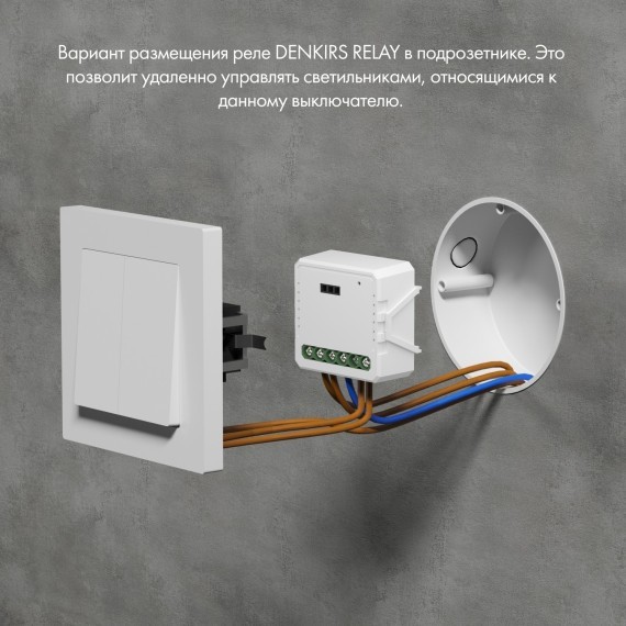 Одноканальное Wi-Fi реле-диммер Denkirs RL1000 RL1003-DM