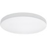 Настенно-потолочный светильник Lightstar 225202 ARCO IP44 светодиодный LED 200W
