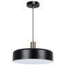 Подвесной светильник Arte Lamp SKAT A7152SP-1BK