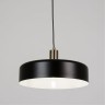 Подвесной светильник Arte Lamp SKAT A7152SP-1BK