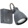 Спот Arte Lamp GOTTO A9189AP-1GY
