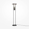 Напольный светильник (торшер) с дымчатым стеклянным плафоном Maytoni MOD463FL-L24B3K