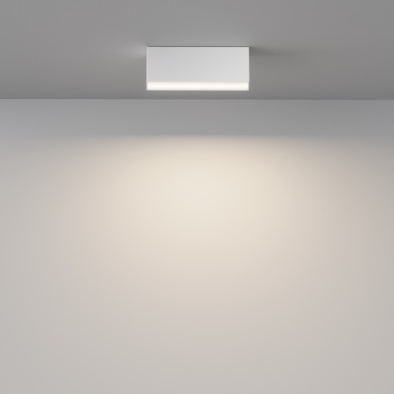 Потолочный светильник Technical C068CL-12W3-6K-W