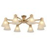 Потолочная люстра Arte lamp MELEPH A4096PL-8BR